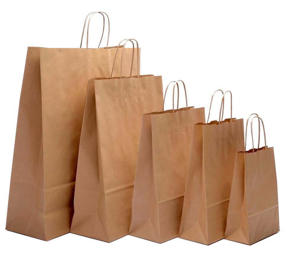 Paper Bags with Twisted Handles (50 pack)
