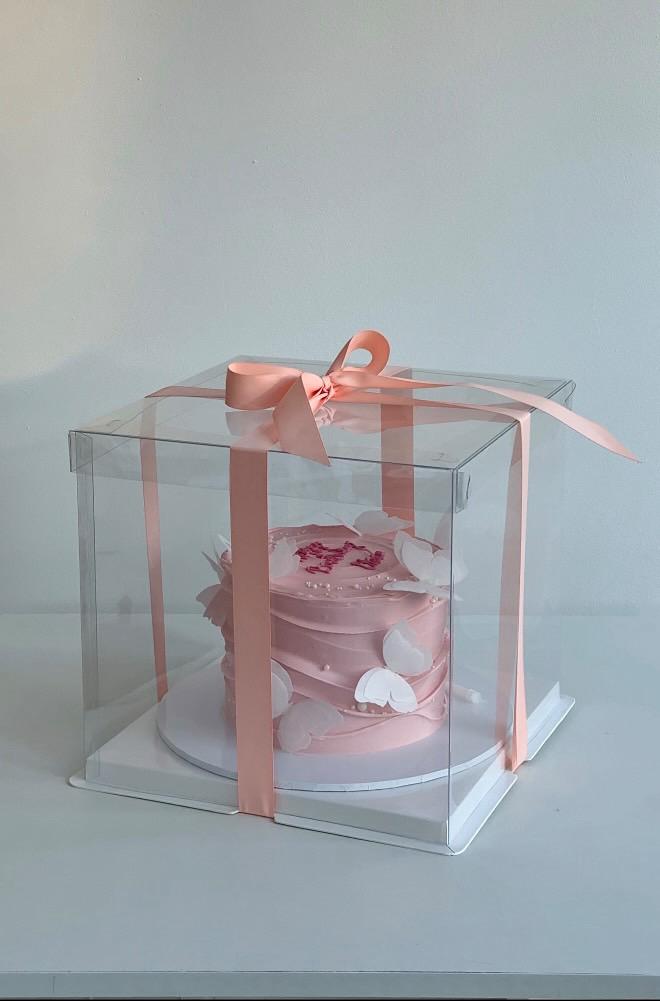 Clear Cake Boxes - Square (2 pack)