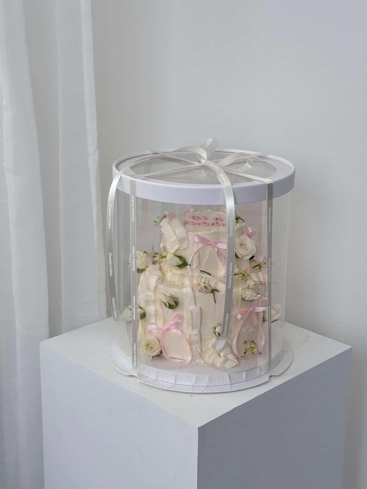 Clear Cake Box - Round (2 pack)
