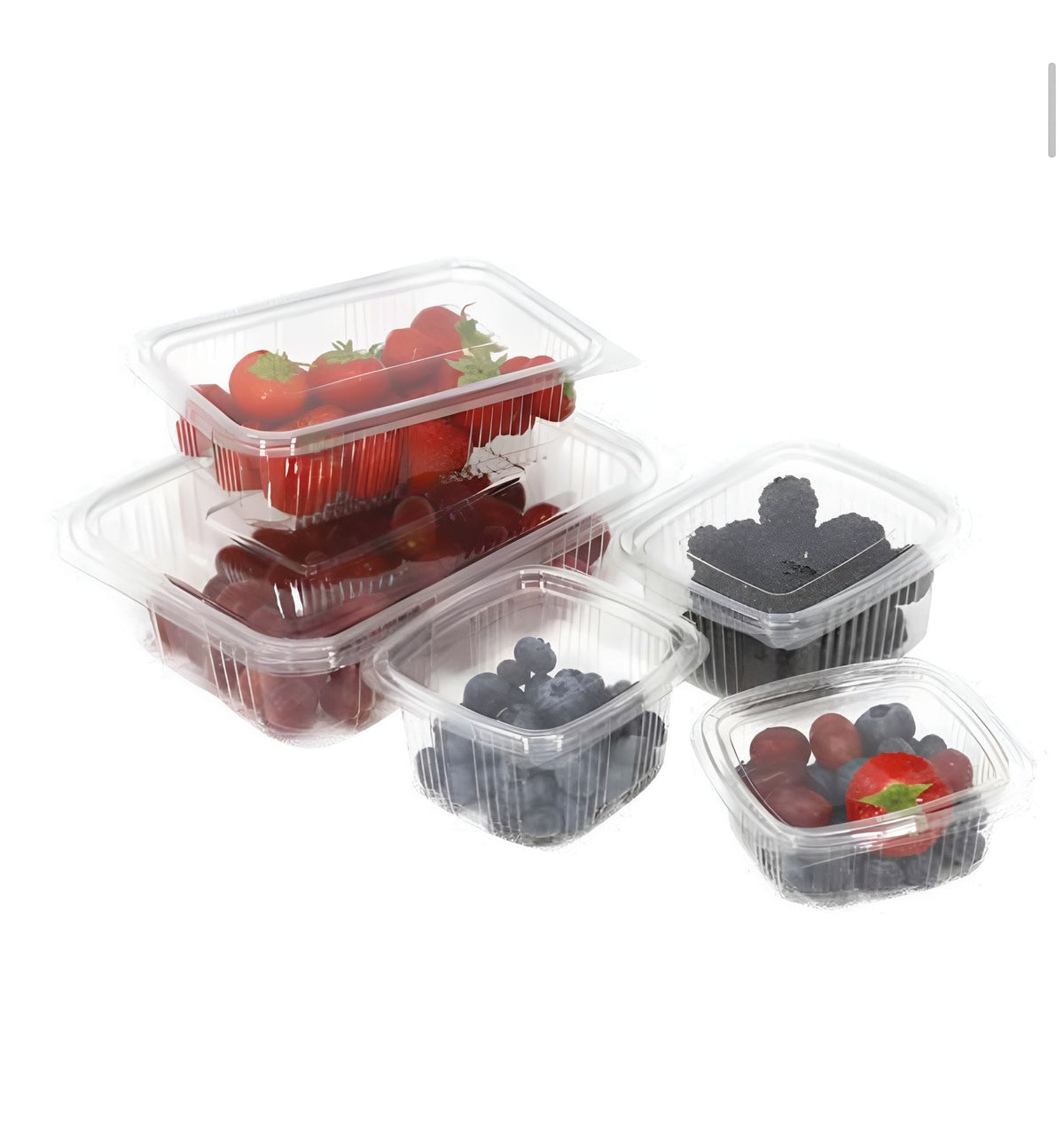 Clear Plastic Hinged Containers (50 pack)