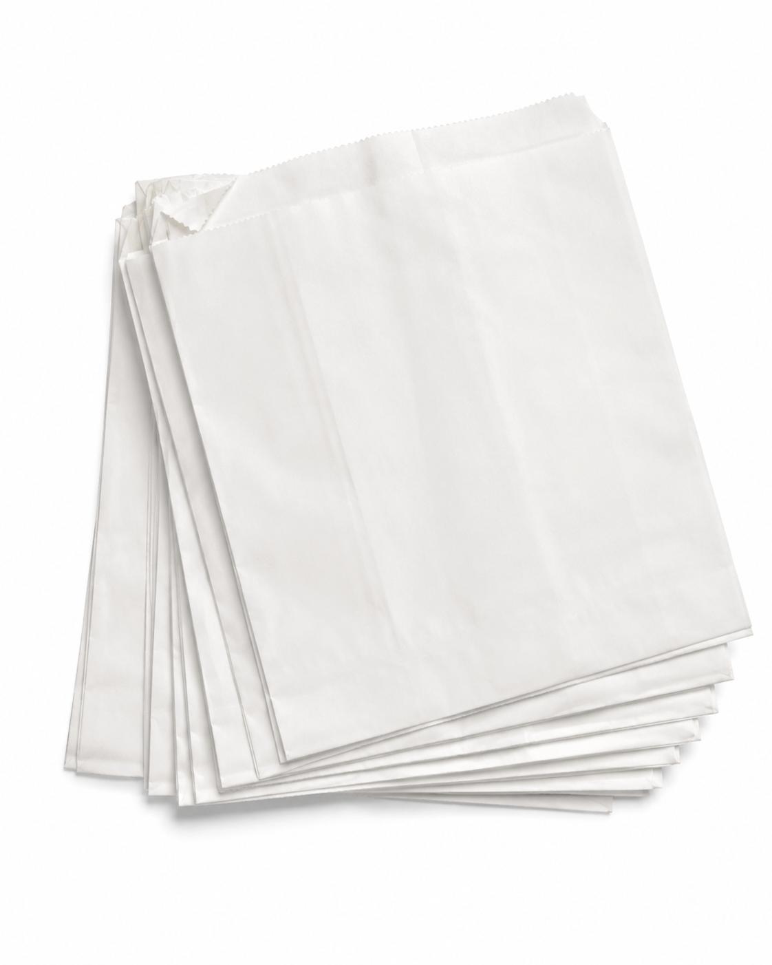 Strung Paper Bags (100 pack)