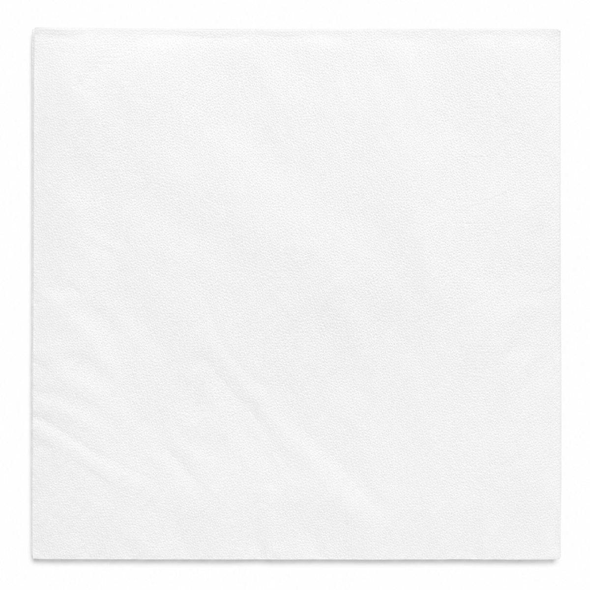 Disposable Napkins (500 pack)