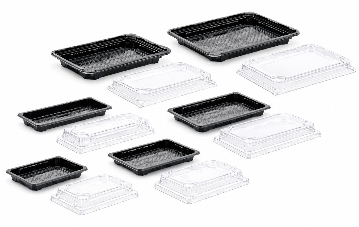 Sushi Platters with Clear Lids ( 10 Pack)